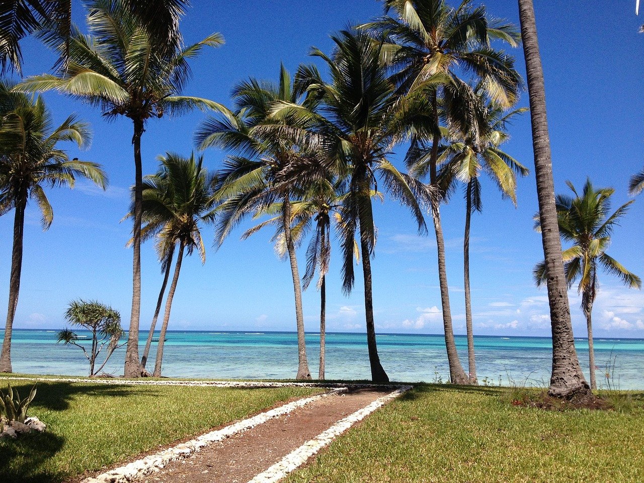 Original illustration of a quiet Zanzibar beach with a dhow and palms