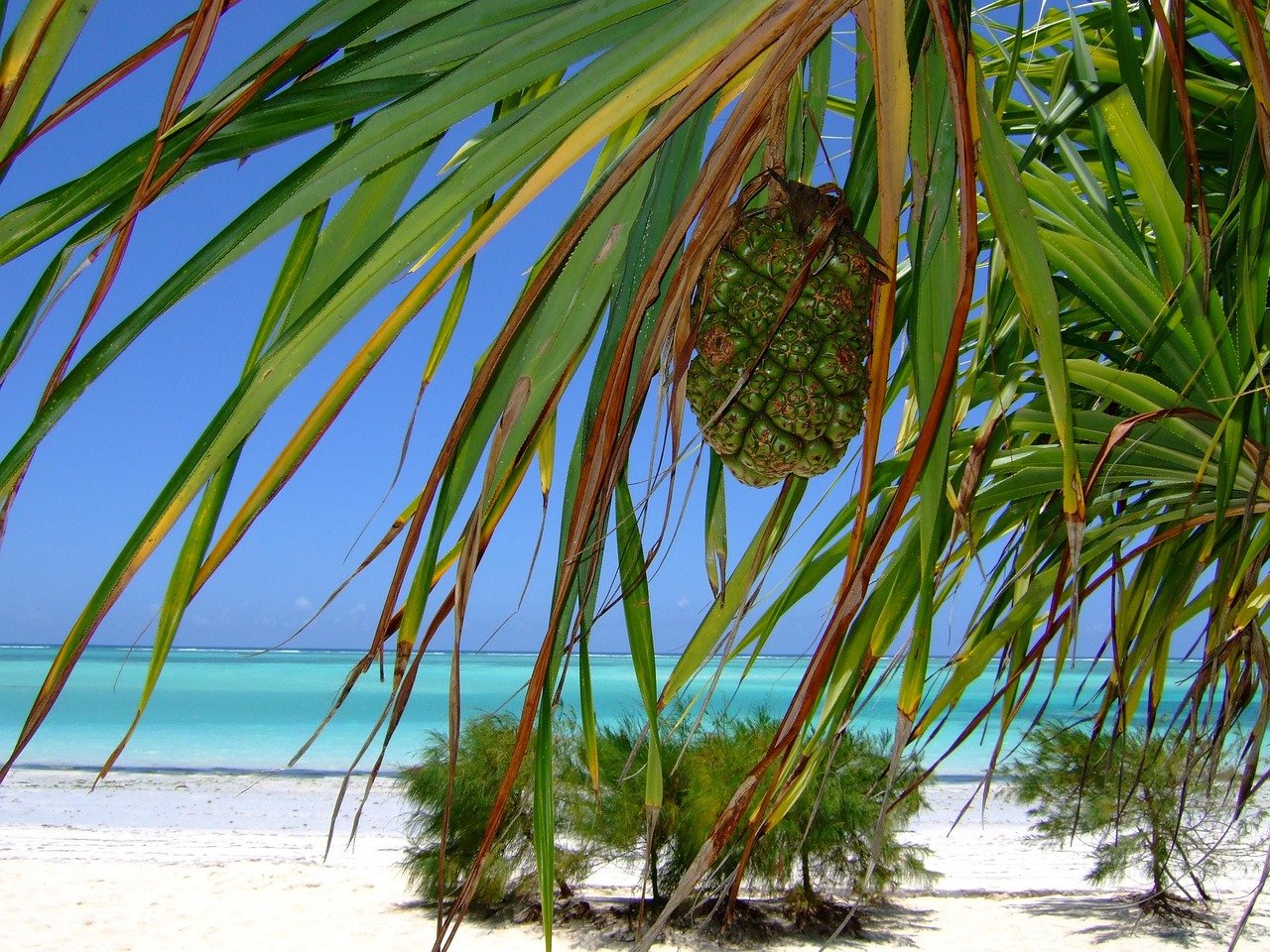 Zanzibar safari and beach escape